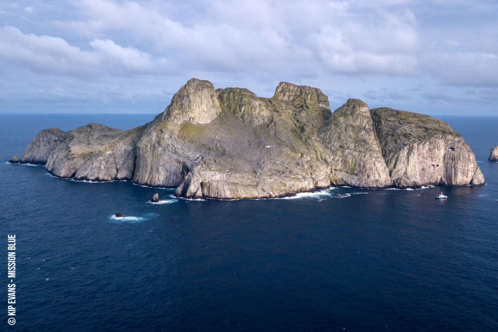 malpelo