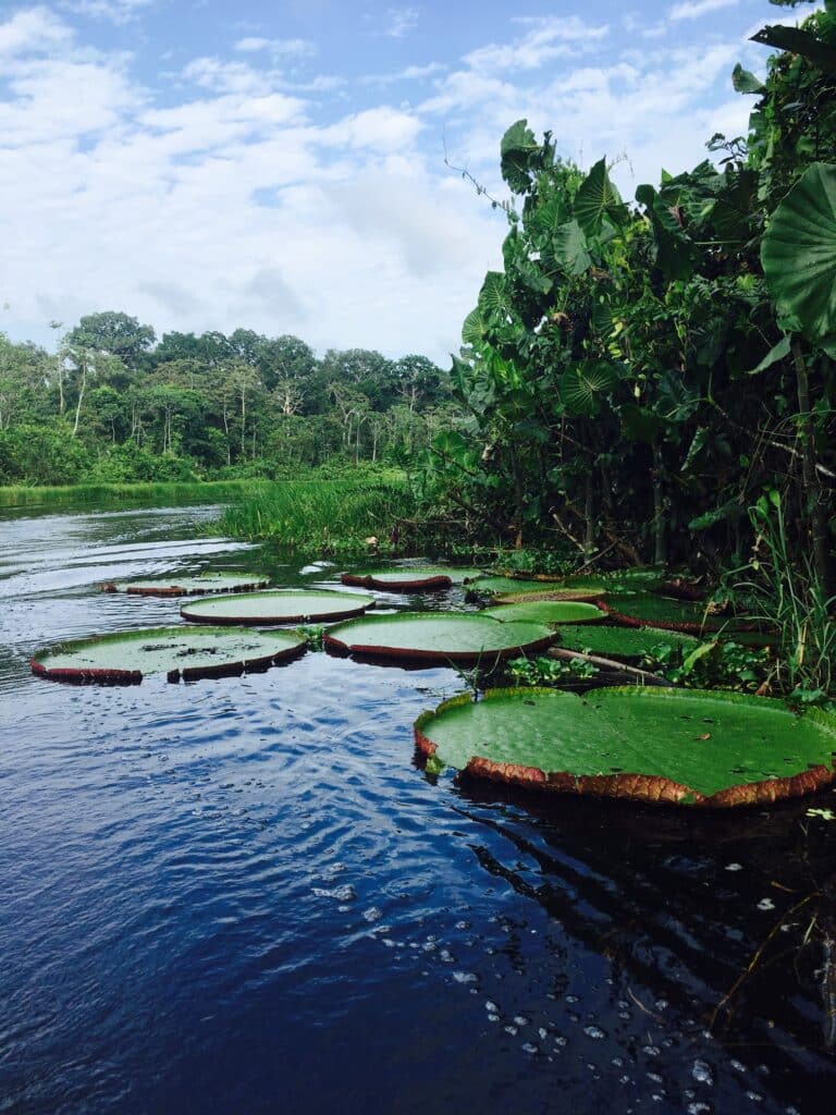 tarapoto